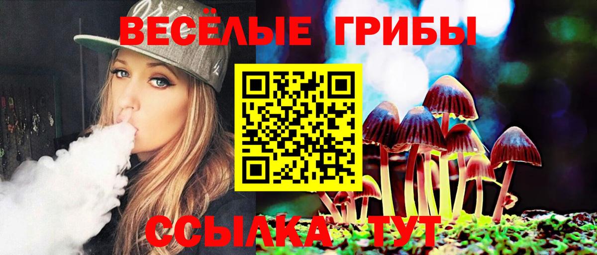 Березники  Галлюциногенные грибы Psilocybe  Вход с VPN 