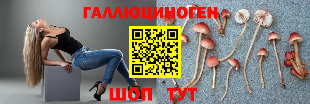 Галлюциногенные грибы мицелий Березники